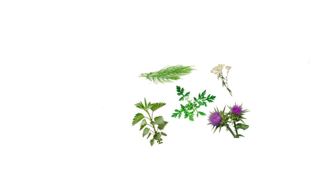 Untitled-Document-23