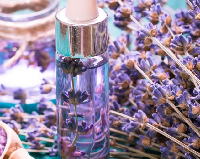 WhatsApp-Image-2023-06-19-at-9.35.36-AM-fotor-2023061993635