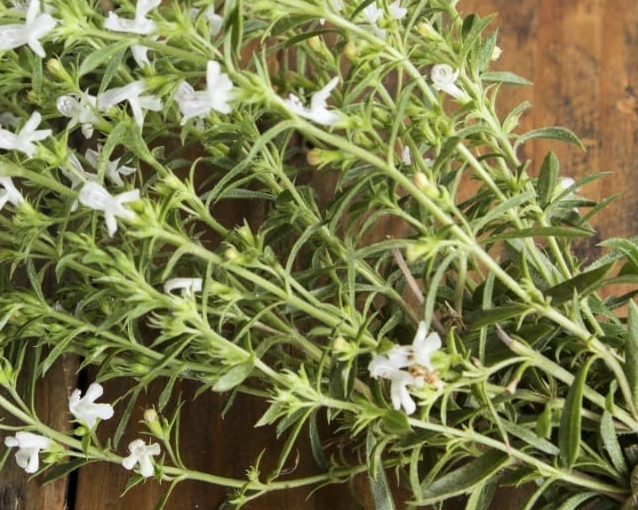 fotor_2023-5-24_14_33_15