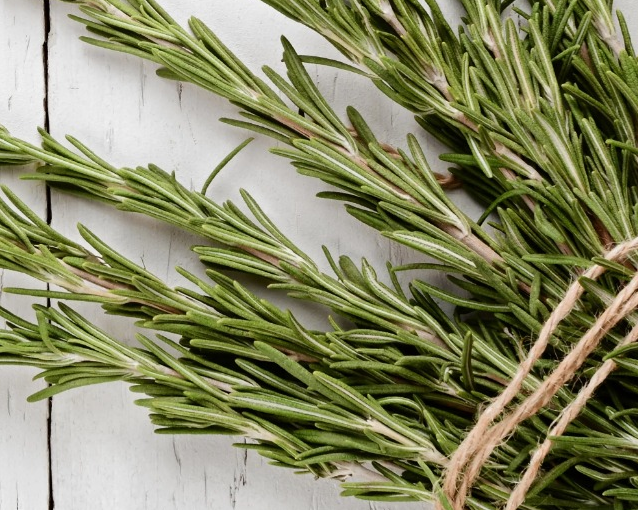 fotor_2023-5-24_14_40_21