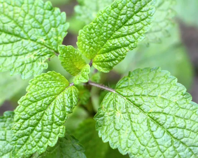 fotor_2023-5-24_14_43_22