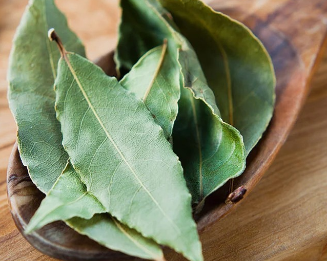 fotor_2023-5-24_14_46_20