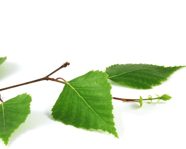 fotor_2023-5-24_14_53_24