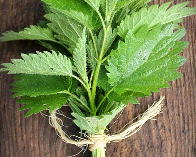 fotor_2023-5-24_15_11_50