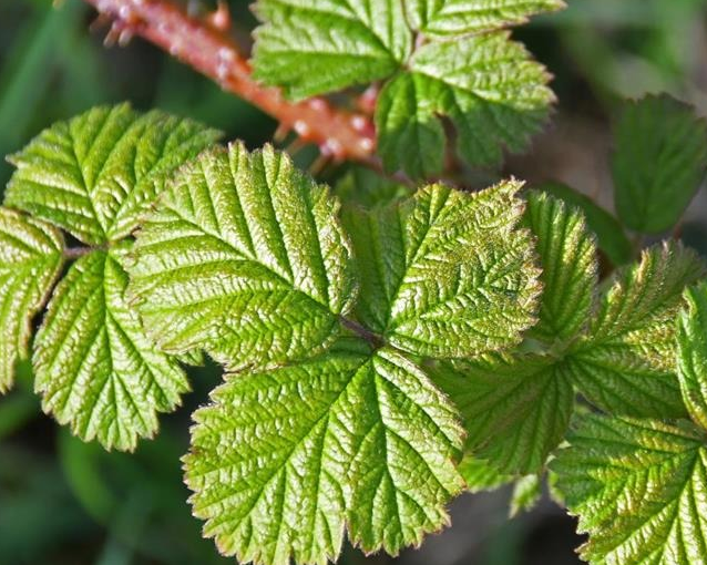 fotor_2023-5-24_15_20_58