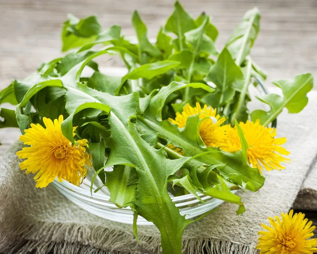 fotor_2023-5-24_15_24_6