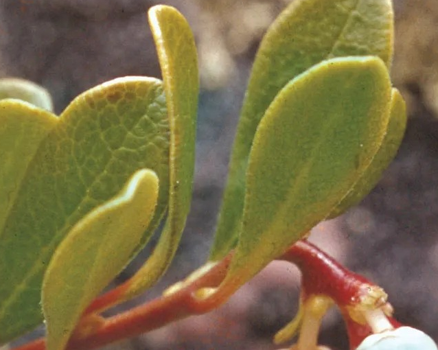 fotor_2023-5-24_15_28_32