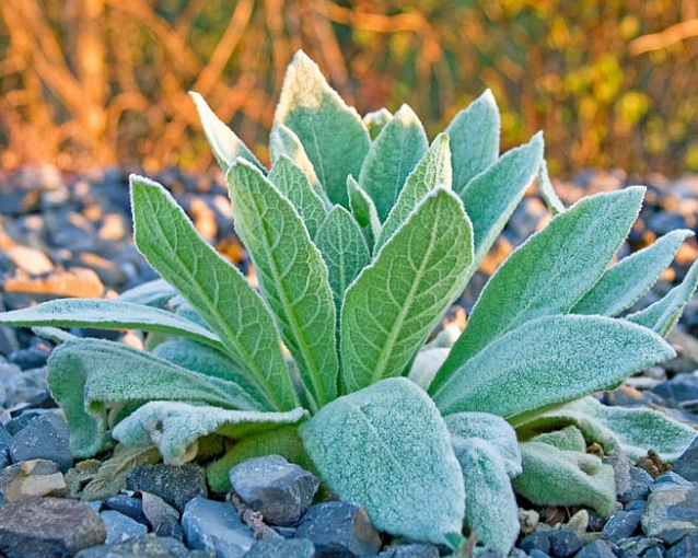 fotor_2023-5-24_15_33_32