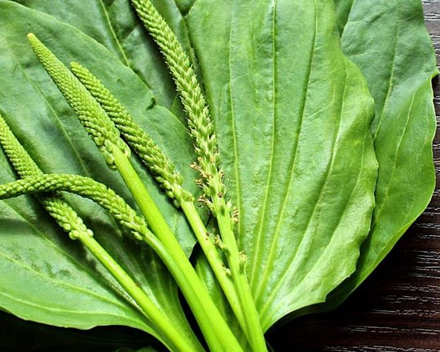 fotor_2023-5-24_15_37_32