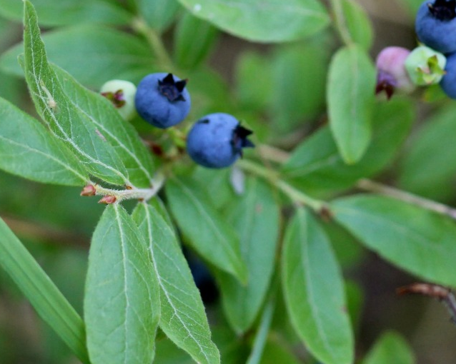 fotor_2023-5-24_15_40_8