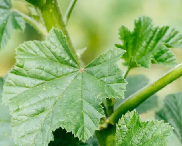 fotor_2023-5-25_16_40_27