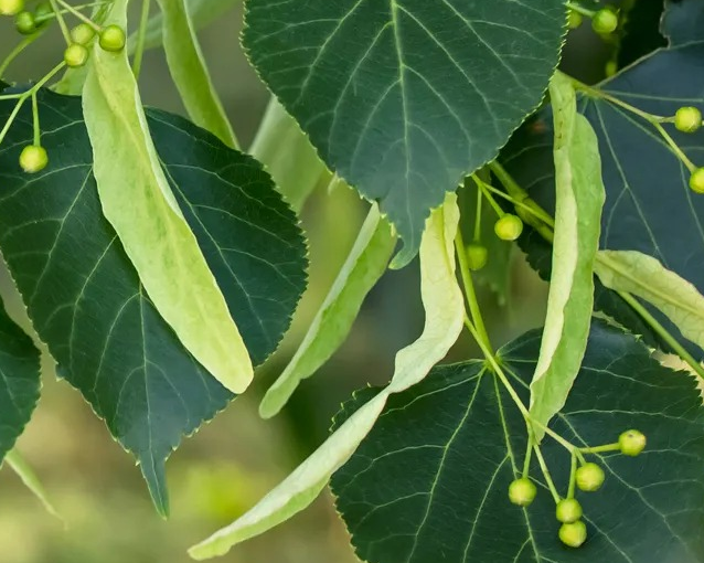 fotor_2023-5-25_16_41_44