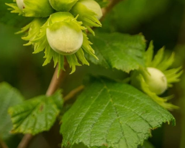 fotor_2023-5-25_16_58_42