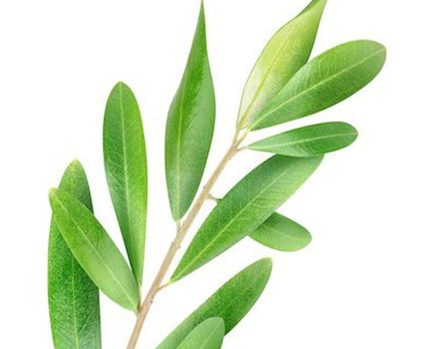 fotor_2023-5-25_9_19_5