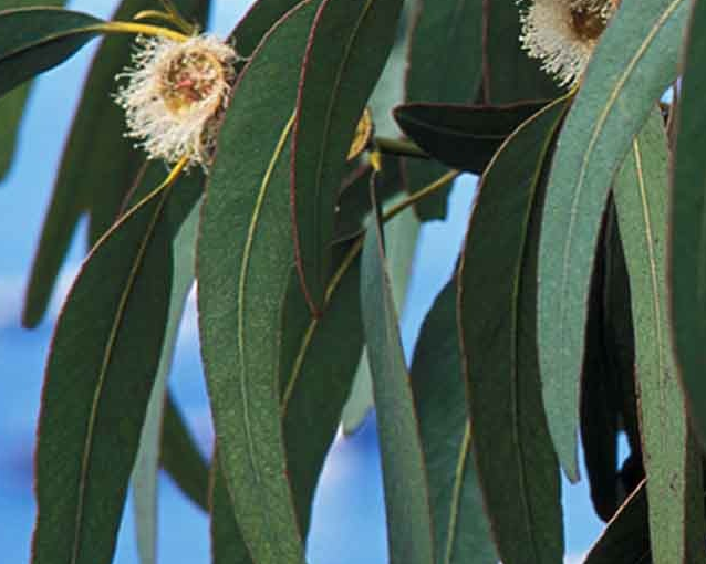 fotor_2023-5-26_13_50_15