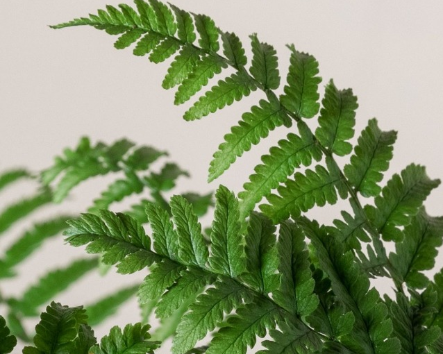 fotor_2023-5-26_13_54_25 (1)