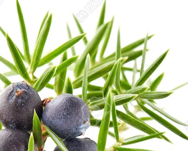 fotor_2023-5-26_13_57_35