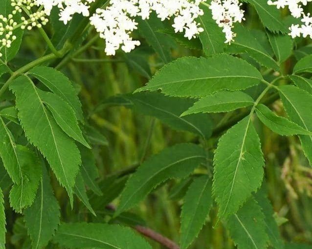 fotor_2023-5-26_14_0_55