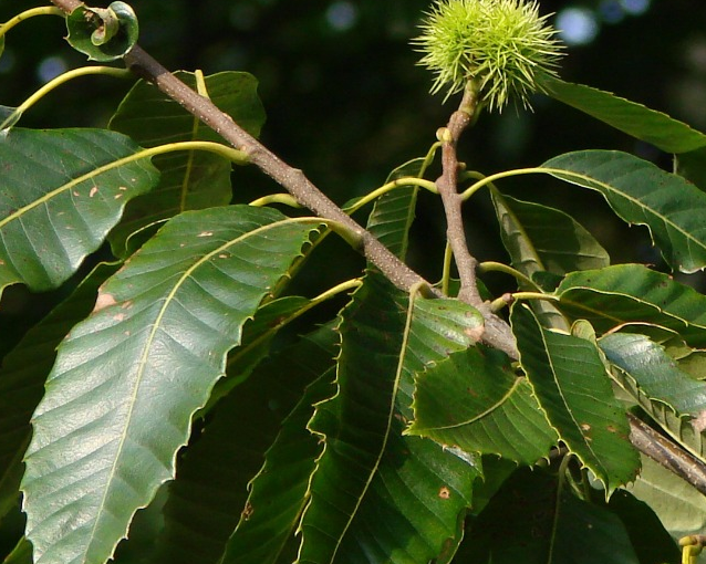 fotor_2023-5-26_14_10_39