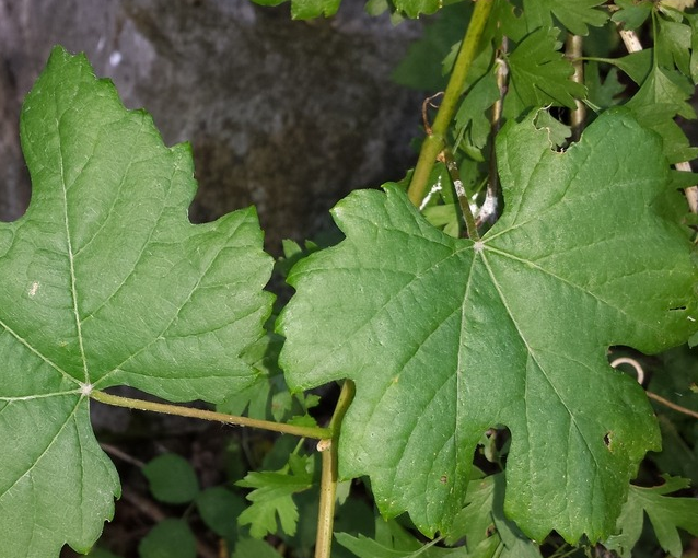 fotor_2023-5-26_14_14_2