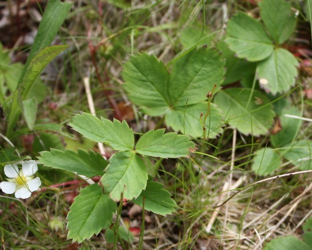 fotor_2023-5-26_14_18_8