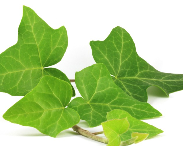 fotor_2023-5-26_14_20_58