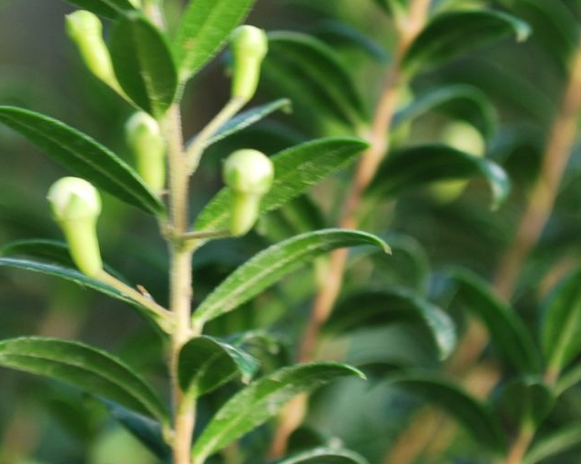 fotor_2023-5-26_14_26_44