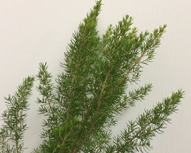 fotor_2023-5-26_15_18_48