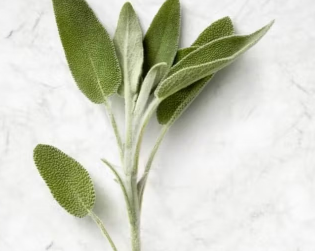 fotor_2023-5-26_15_22_5