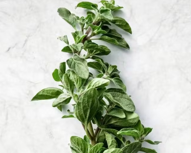 fotor_2023-5-26_15_25_7