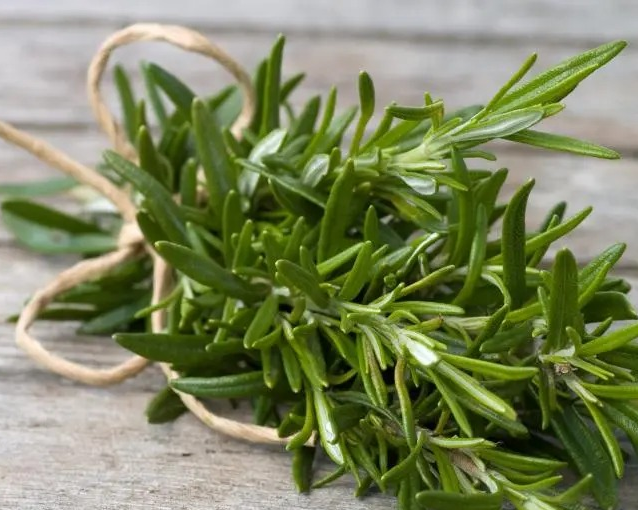 fotor_2023-5-26_15_28_29