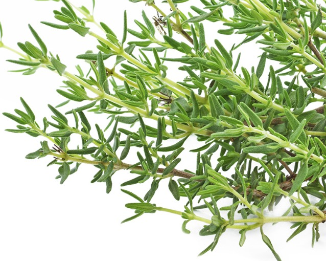 fotor_2023-5-26_15_33_34