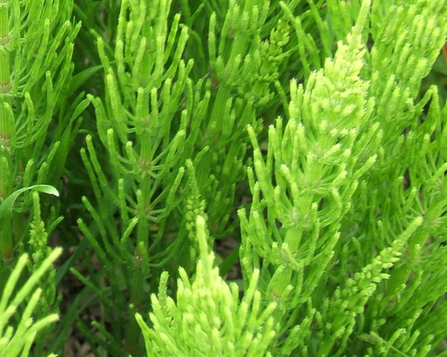 fotor_2023-5-26_15_38_15