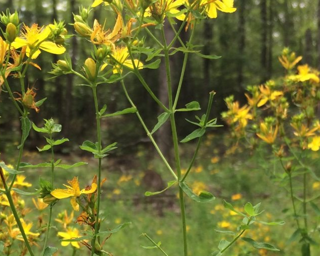 fotor_2023-5-26_15_54_17