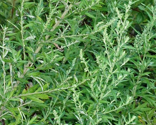 fotor_2023-5-26_16_10_9