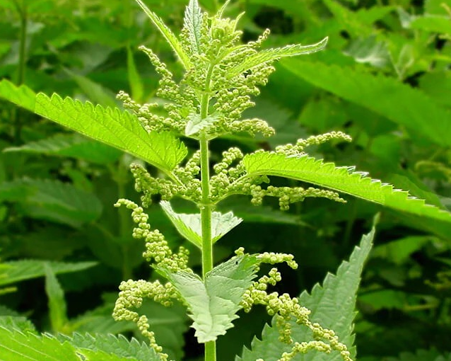 fotor_2023-5-26_16_14_18