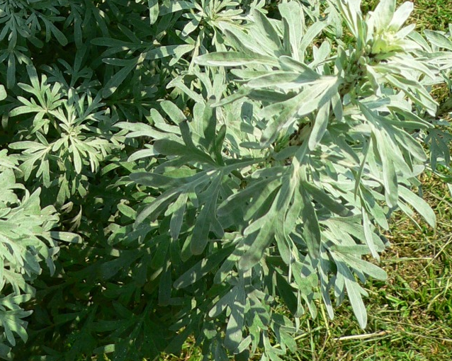 fotor_2023-5-26_16_1_53