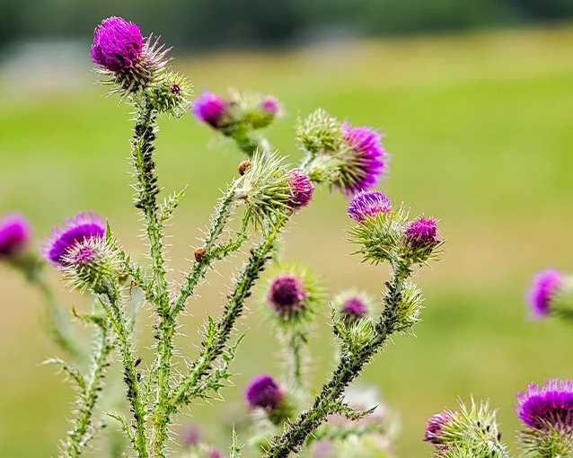 fotor_2023-5-26_16_24_29