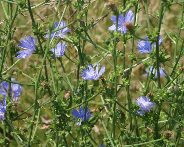 fotor_2023-5-26_16_6_33