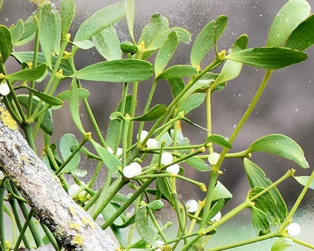 fotor_2023-5-27_10_16_37