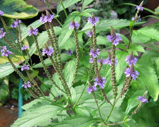 fotor_2023-5-27_10_1_40