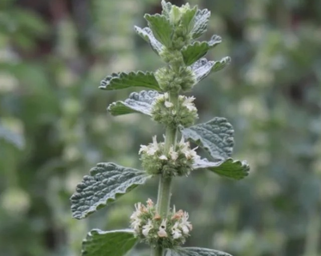 fotor_2023-5-27_10_32_3