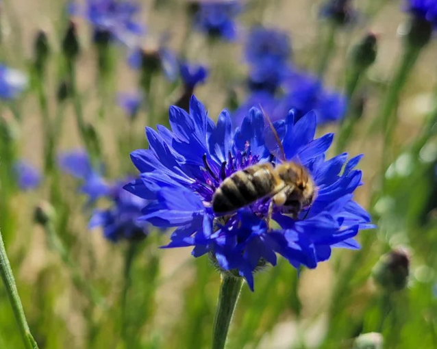 fotor_2023-5-27_11_58_3