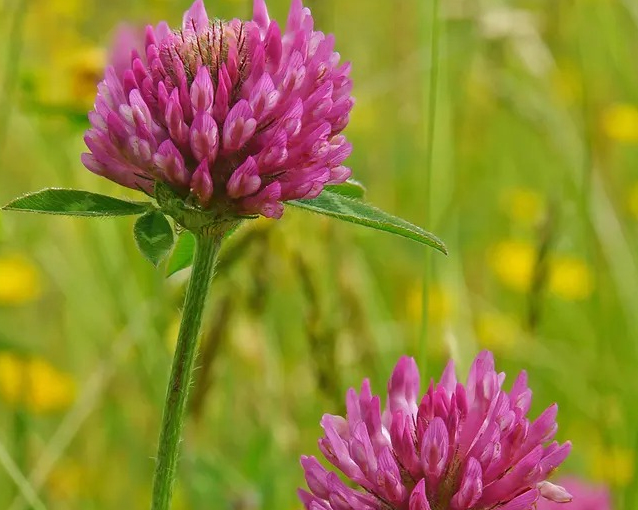 fotor_2023-5-27_12_7_34