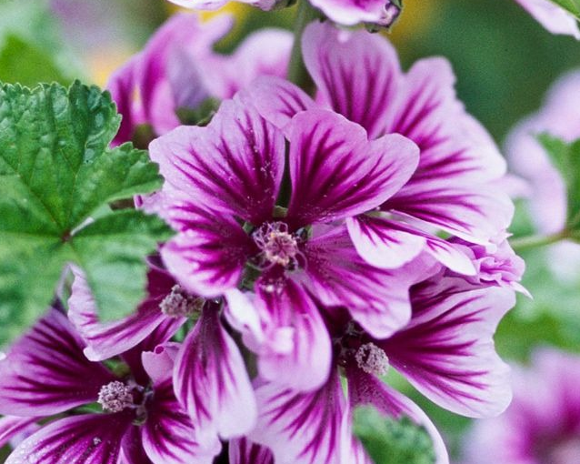 fotor_2023-5-27_13_14_1