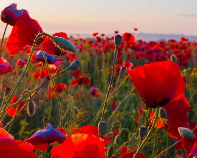 fotor_2023-5-27_13_16_55