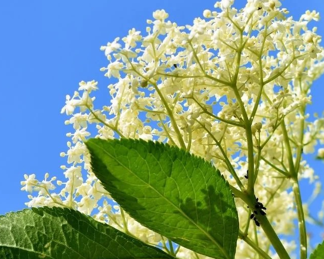 fotor_2023-5-27_13_23_11