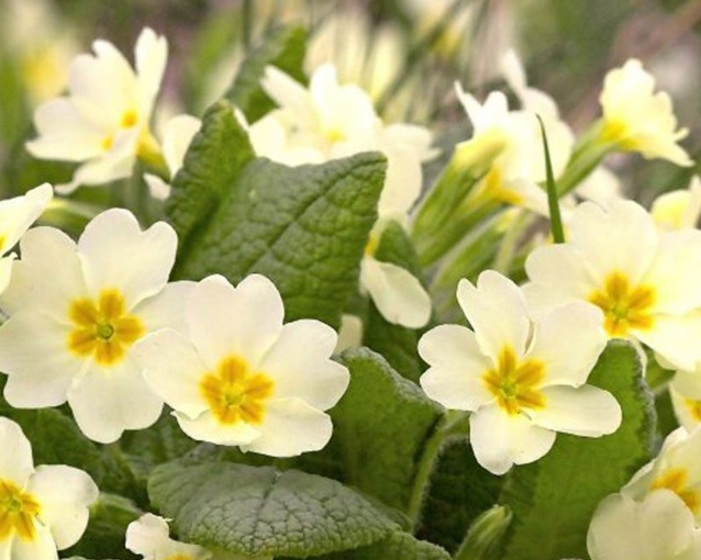 fotor_2023-5-27_13_26_11