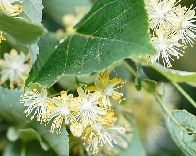 fotor_2023-5-27_13_36_2