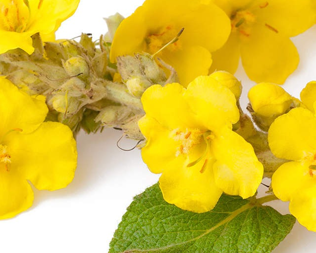 fotor_2023-5-27_13_38_19